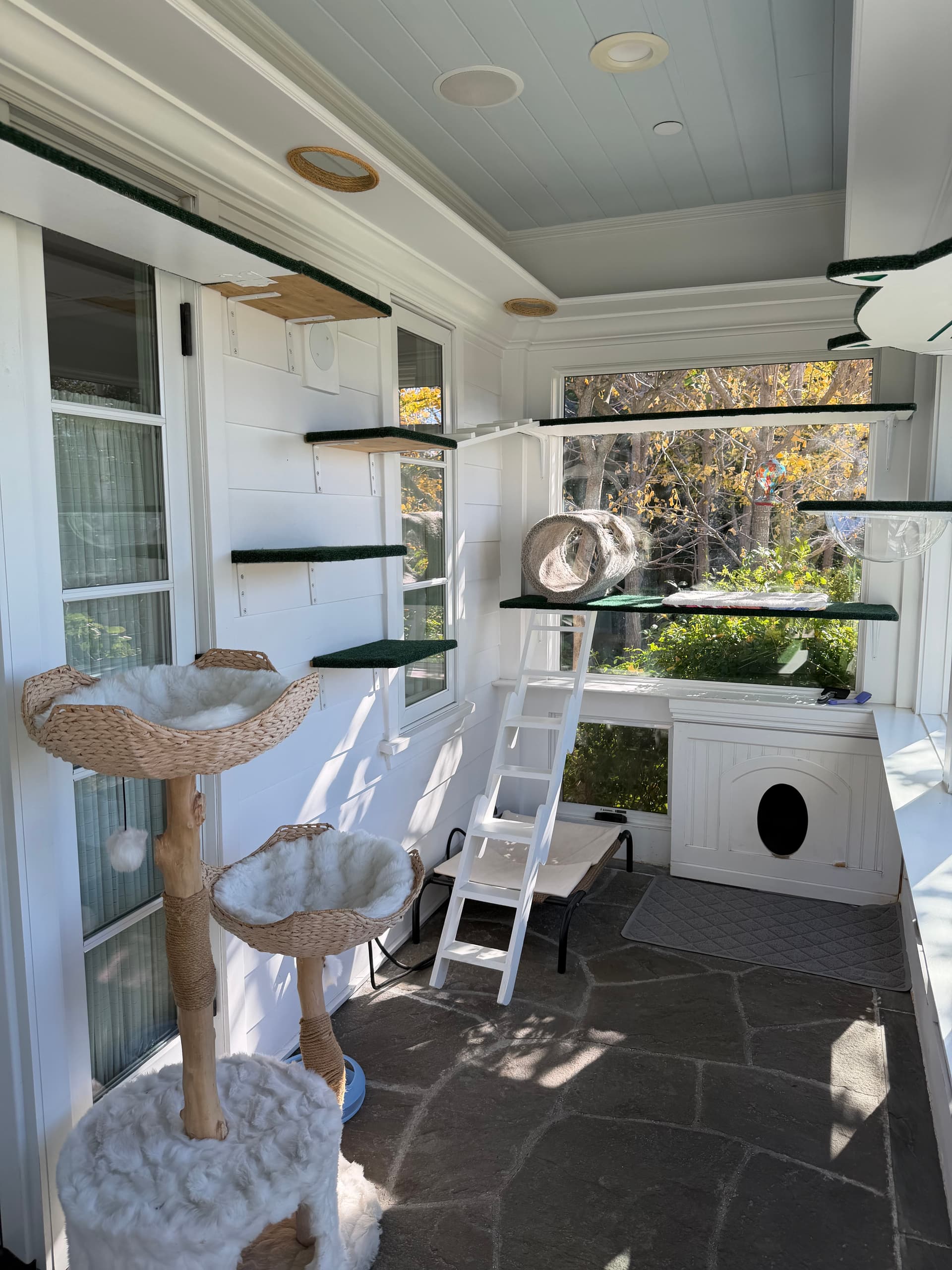 catio